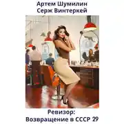 Постер книги Ревизор: возвращение в СССР 29