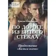 Постер книги По дороге из битого стекла