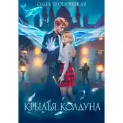 Постер книги Крылья Колдуна