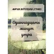 Постер книги Одиннадцать минут утра
