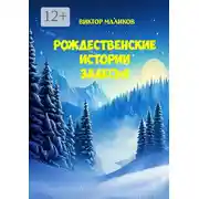 Постер книги Рождественские истории Залесья