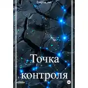 Постер книги Точка контроля