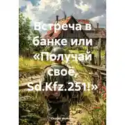 Постер книги Встреча в банке или «Получай своё, Sd.Kfz.251!»