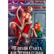 Постер книги Плохой Санта, или Ирония судьбы