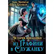Постер книги История попаданки. Из графини в служанку