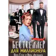 Постер книги Бестселлер для миллионера