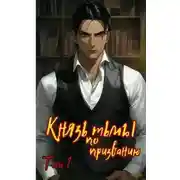 Постер книги Князь тьмы по призванию!