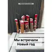 Постер книги Мы встречали Новый год