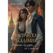 Постер книги Магическая Академия: выжить без дара, но с метлой