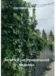 Светлана Забегалина - Записки (не)правильной ведьмы