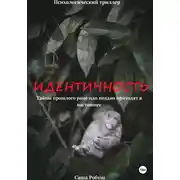 Постер книги Идентичность