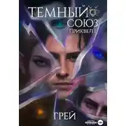 Постер книги Темный Союз