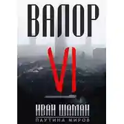 Постер книги Валор 6