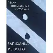 Постер книги Запиханка из всего