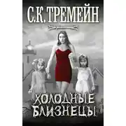 Постер книги Холодные близнецы