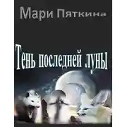Постер книги Тень последней луны