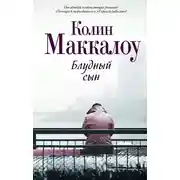 Постер книги Блудный сын