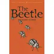 Постер книги Жук