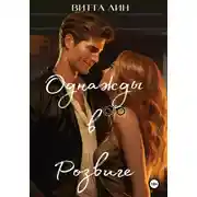 Постер книги Однажды в Розвиге