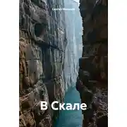 Постер книги В Скале