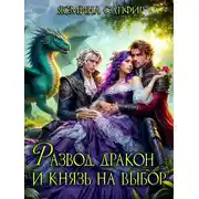 Постер книги Развод, дракон и князь на выбор