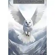 Постер книги Путешествие Александра