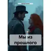 Постер книги Мы из прошлого
