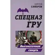 Постер книги Высокоточная смерть