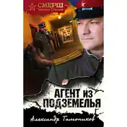 Постер книги Агент из подземелья