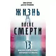 Постер книги Жизнь после смерти. 13 фактов о призраках, которые я узнала