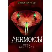 Постер книги Пять Осколков