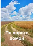 Нил Плёсов - По дороге домой