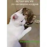 Постер книги Белая магия. 200 заговоров колдуна