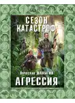 Вячеслав Шалыгин - Агрессия