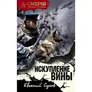 Постер книги Искупление вины