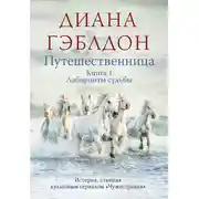 Постер книги Путешественница. Книга 1. Лабиринты судьбы