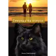 Постер книги Секунда на отпуск
