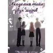 Постер книги Академия тайн двух миров