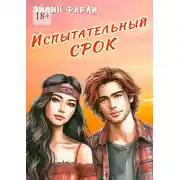 Постер книги Испытательный срок