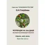 Постер книги ЧЕЛЛЕНДЖ НА 366 ДНЕЙ, или Заметки начинающего писателя. Часть 2
