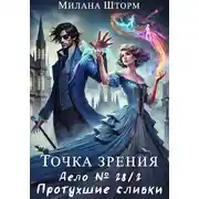 Постер книги Точка зрения. Дело №28/2. Протухшие сливки