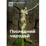 Постер книги Последний чародей