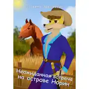 Постер книги Неожиданная встреча на острове Норин