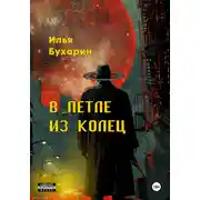 Постер книги В петле из колец