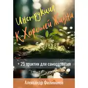 Постер книги Инструкция к хорошей жизни