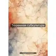 Постер книги Тюремная субкультура