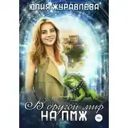 Постер книги В другой мир на ПМЖ