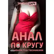 Постер книги Анал по кругу с новыми родственниками