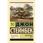Постер книги Неведомому Богу