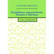 Постер книги Волшебные приключения Мишки и Зайчика. Книга 7. Восход Героя